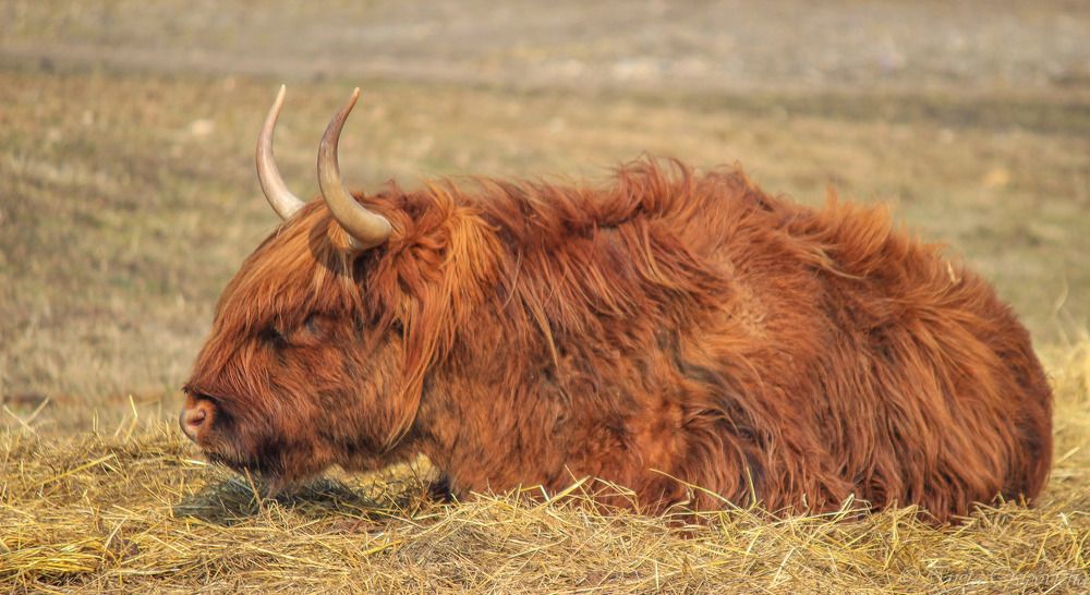 Photograph by Ineta Osipoviča