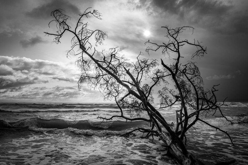 Photograph by Ineta Osipoviča