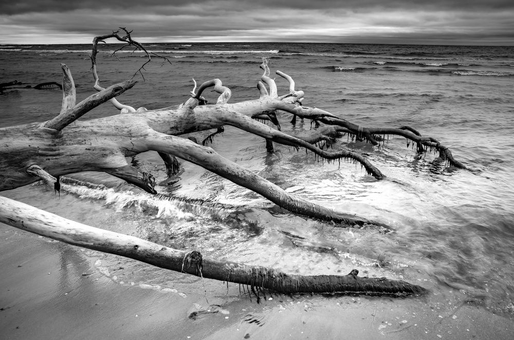 Photograph by Ineta Osipoviča