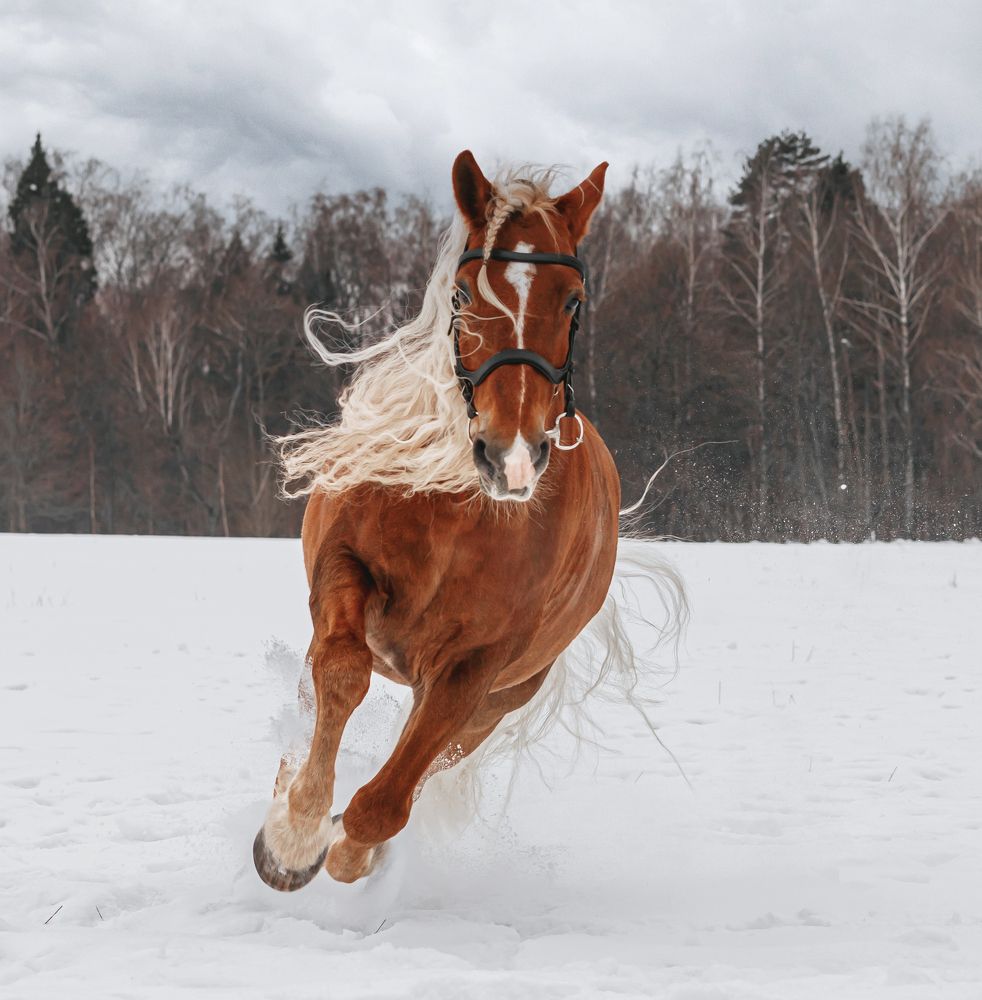 Photograph by александр лялин