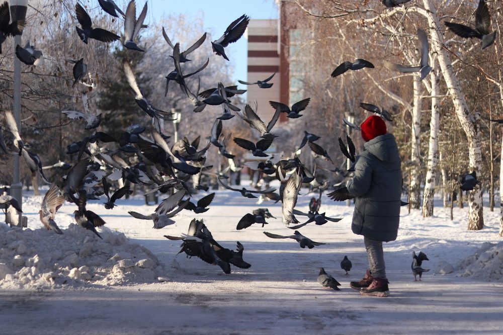 Photograph by Марина Савченко