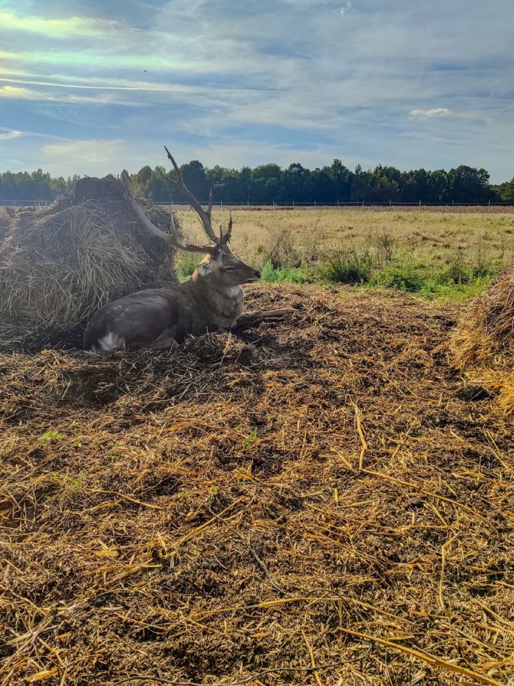 Photograph by Darina