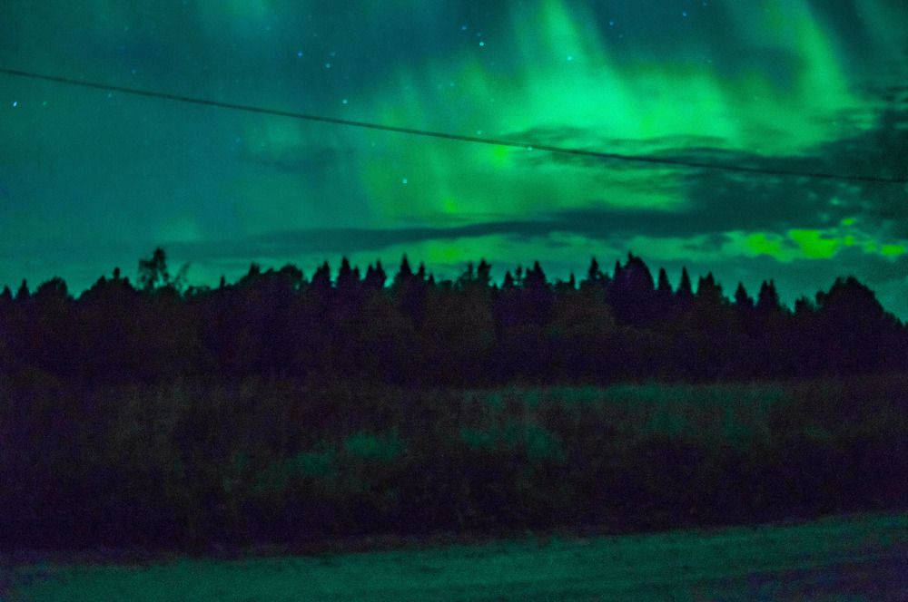 Фотография автора galina-urban