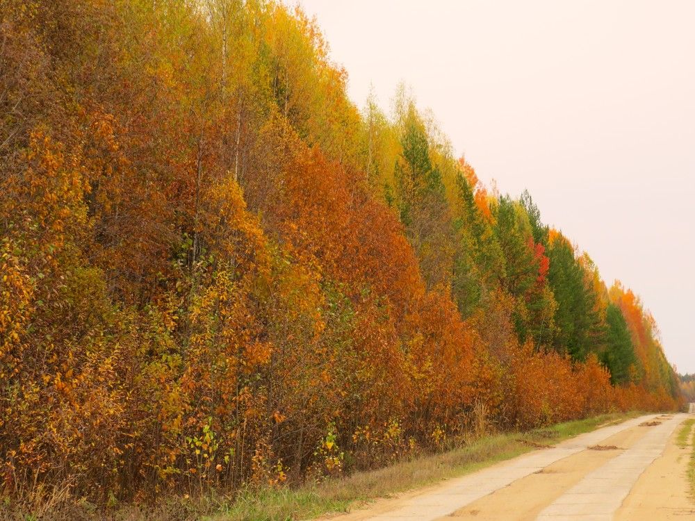 Photograph by Людмила Кононова