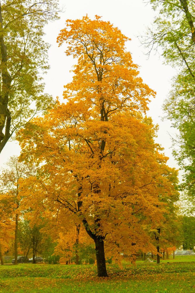 Photograph by Alexander Nikolaev