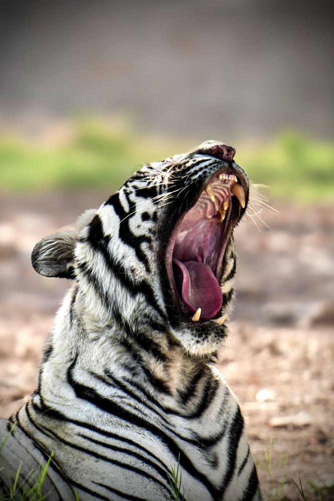 A Story of Power and Grace