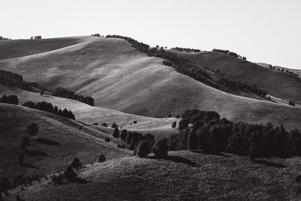 Photograph by Евгения Сенченко