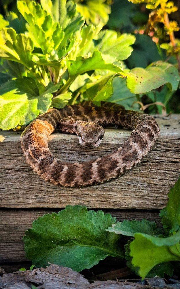 Photograph by Tatiana Kirillova