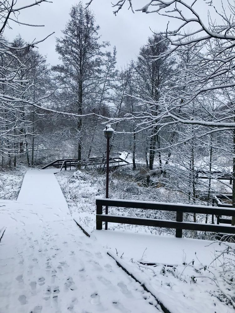 Photograph by Надежда Ткаченко