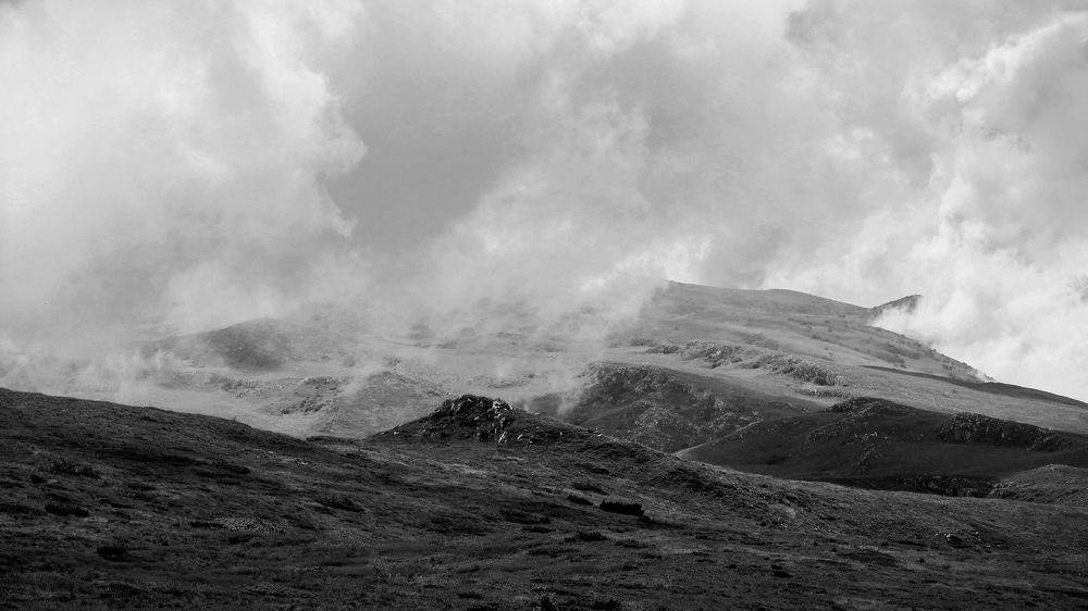 Фотография автора Micca