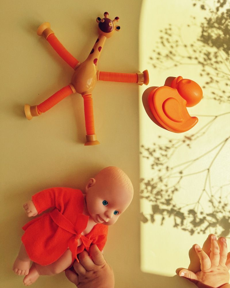 Фотография автора Елена Поживилко