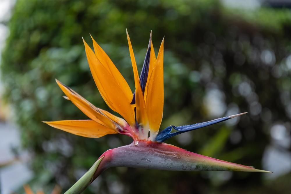 Photograph by Татьяна