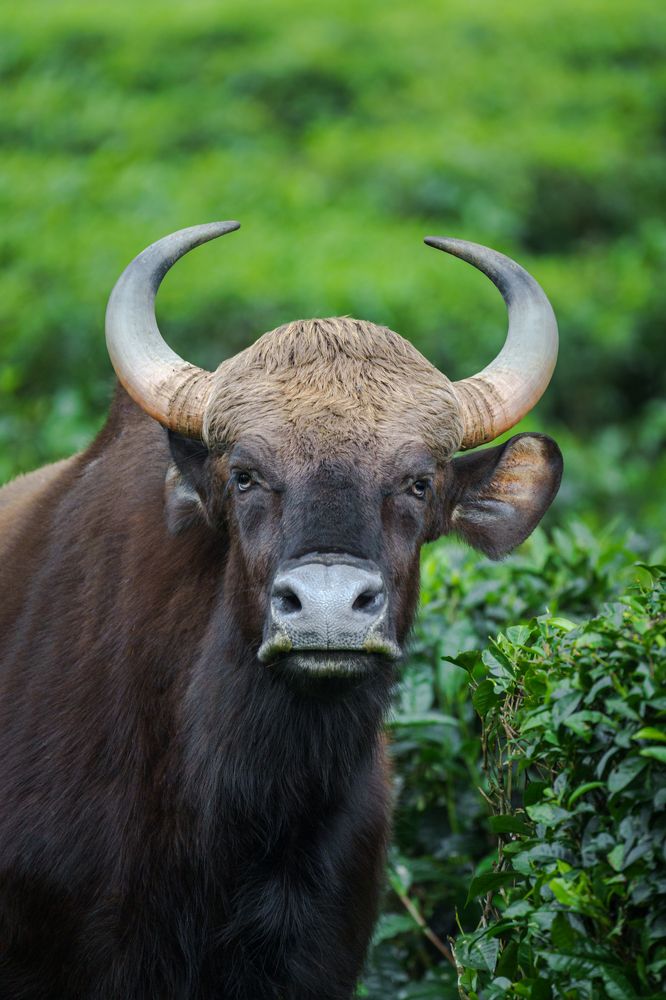 Фотография автора Hari Venkatesh