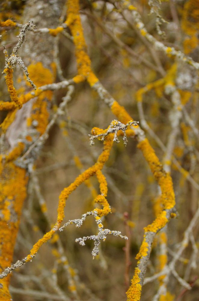 Photograph by Надежда Михайлина