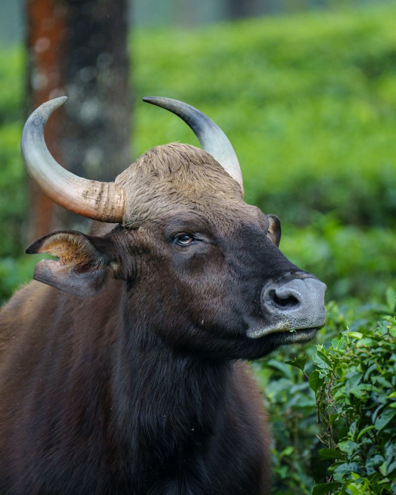 Фотография автора Hari Venkatesh