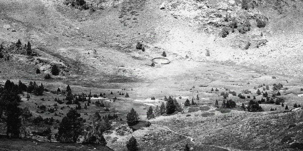 Фотография автора Micca