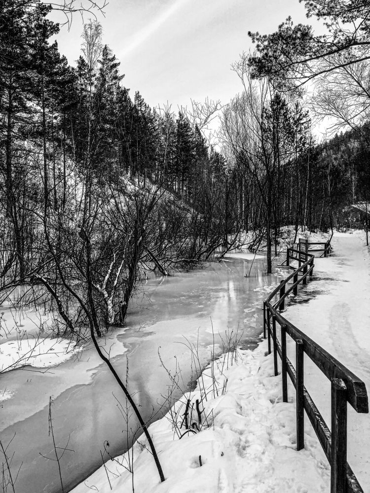 Фотография автора Светлана Гончарова