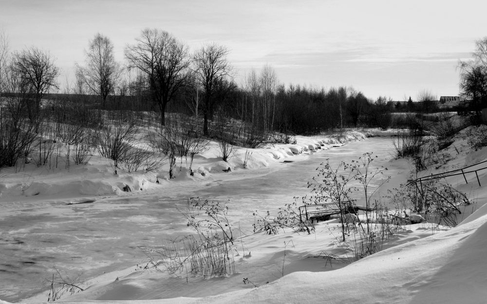Фотография автора Nelya  Lysenko