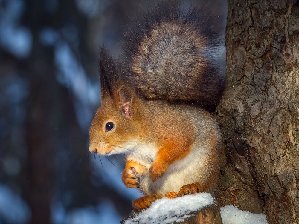 Photograph by Сергей Алексеев