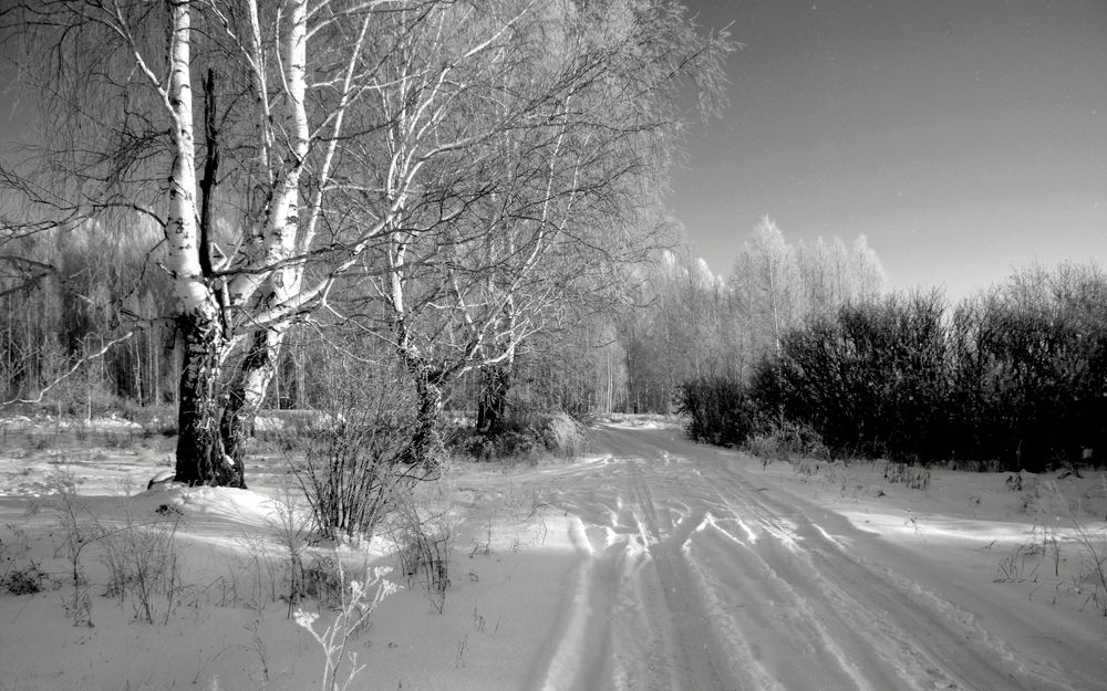 Фотография автора Nelya  Lysenko