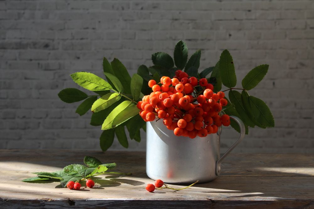 Photograph by Сироткина Нина