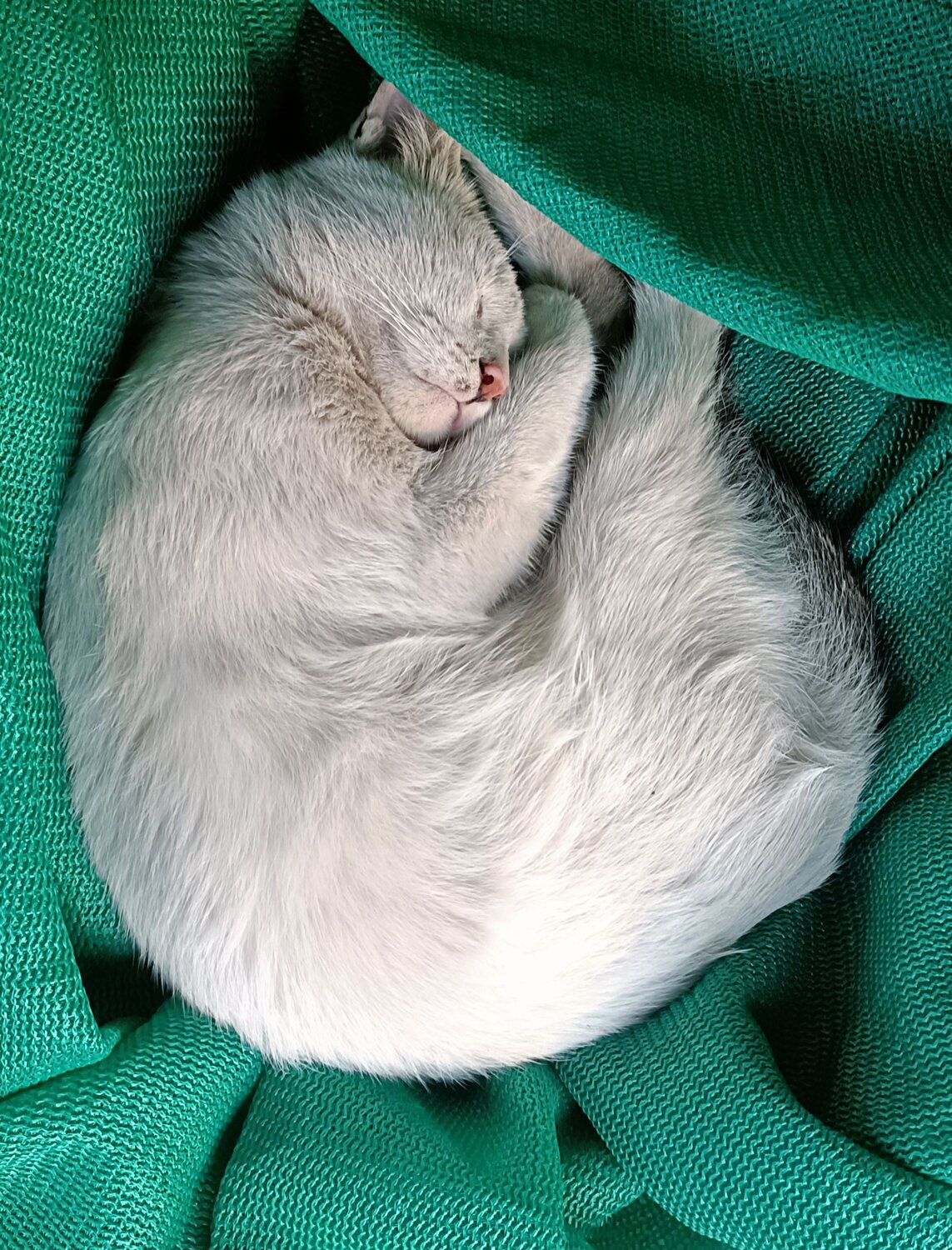He is in sleep