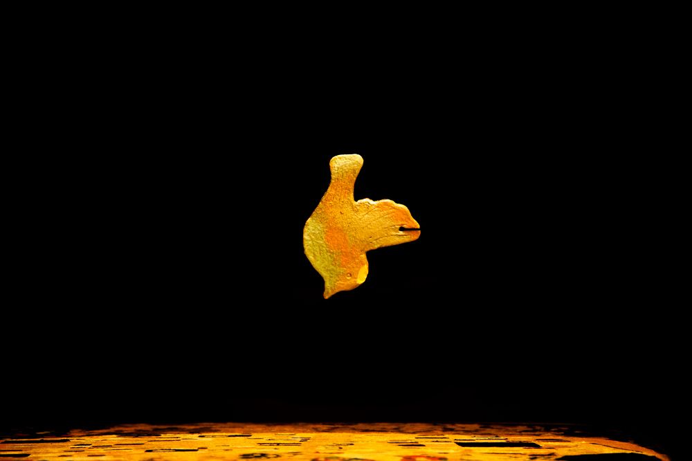 Photograph by Григорий Шишонков