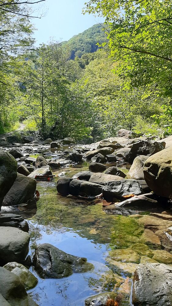 Photograph by Екатерина