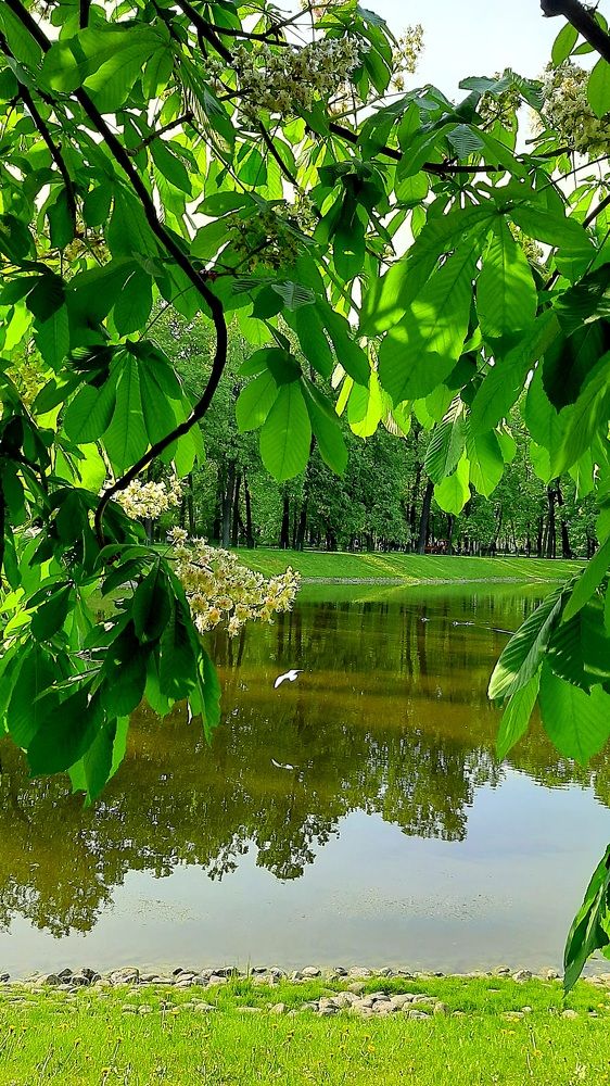 Photograph by Екатерина