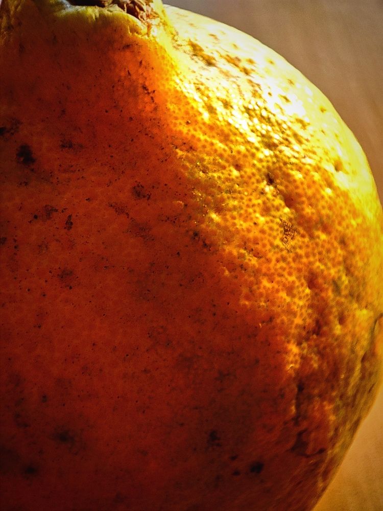 Фотография автора Debdutt Saha