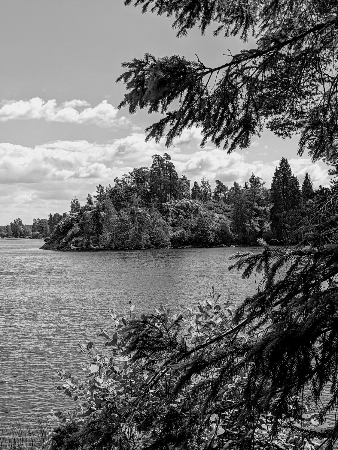 Photo #11521169