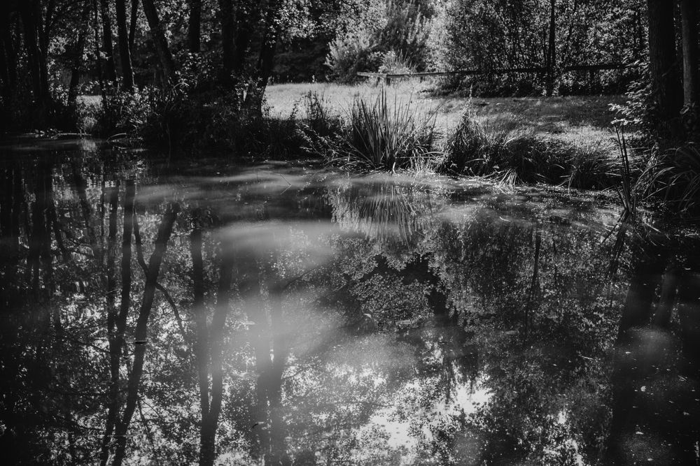 Photograph by Lera Zilbershtein