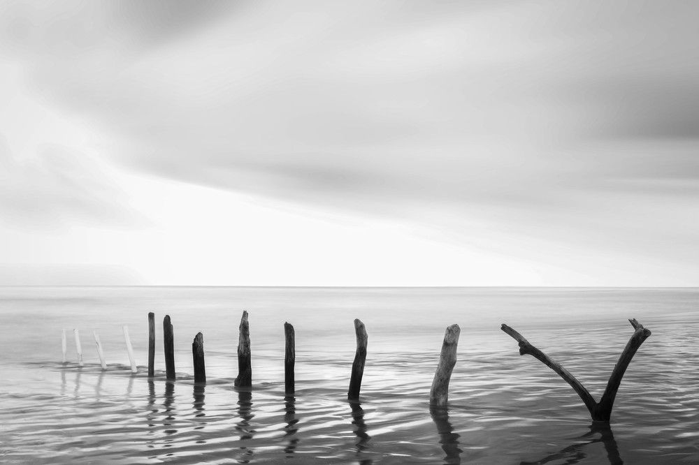 Photograph by Marcos Levy