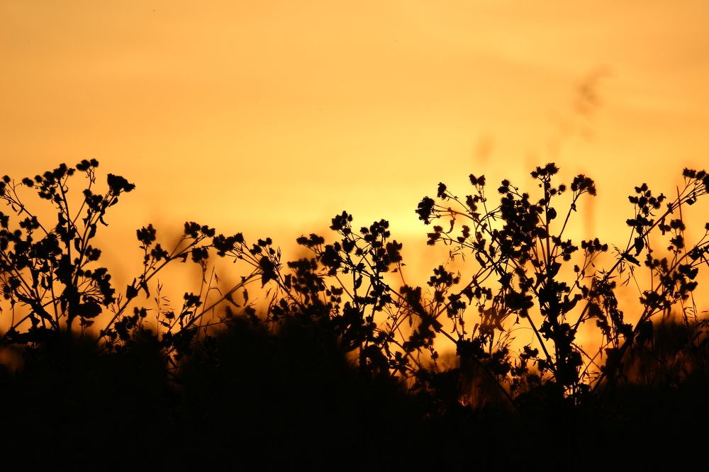 Photograph by Елена Федорова