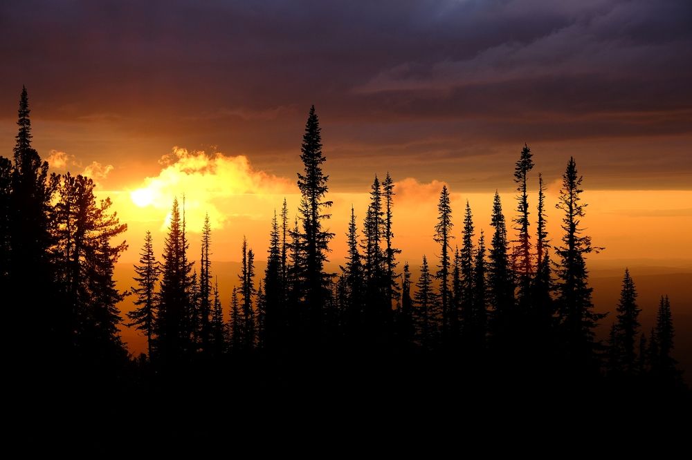 Photograph by Багурский Алексей