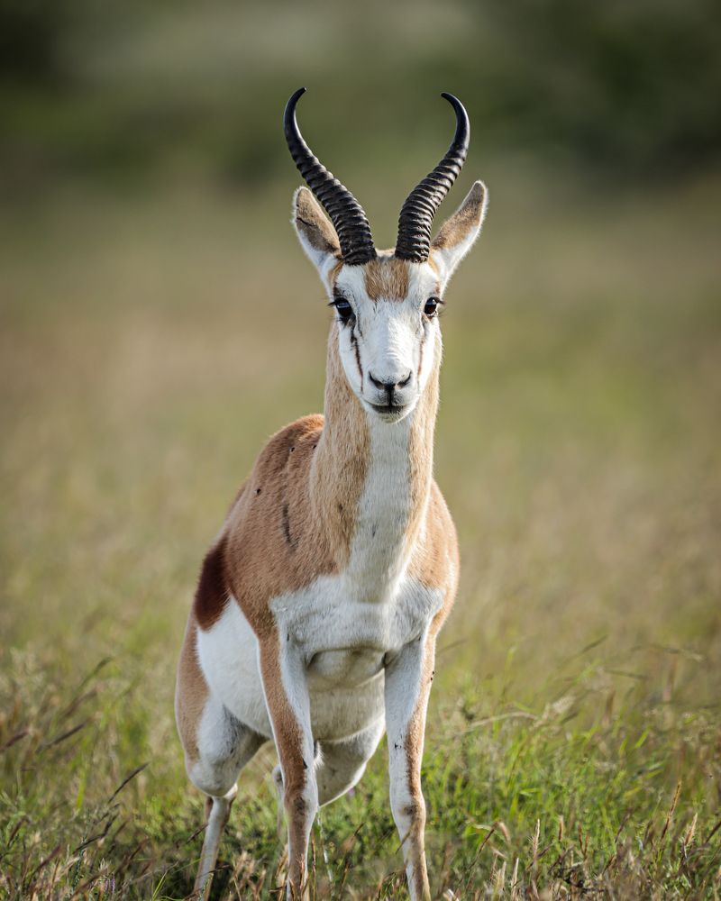 Photograph by Nadine Leonard