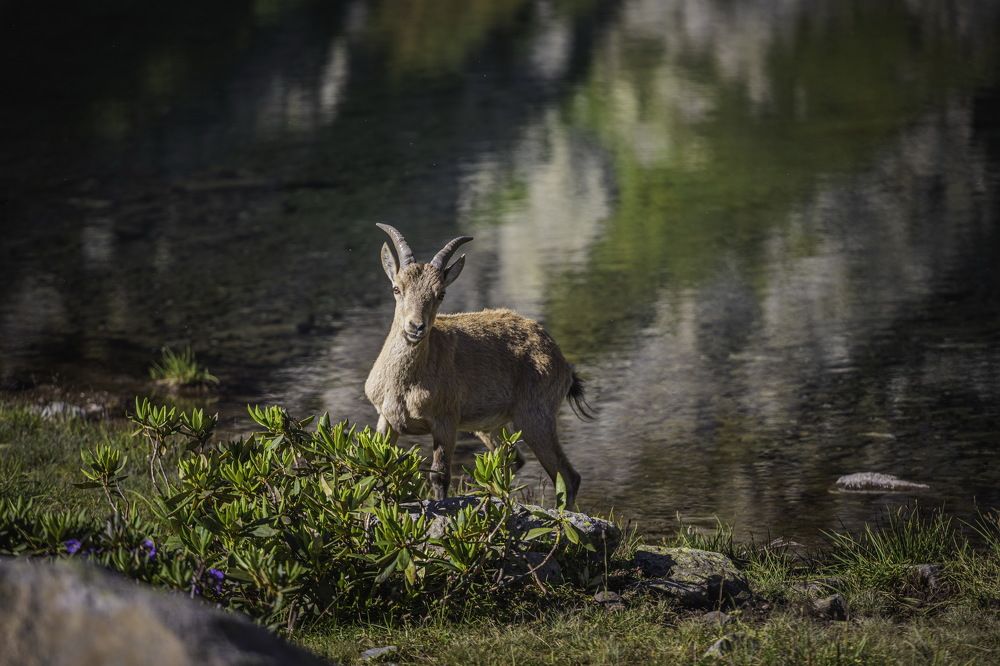 Photograph by Александр Перегоненко