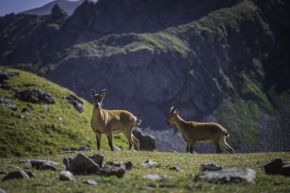 Photograph by Александр Перегоненко