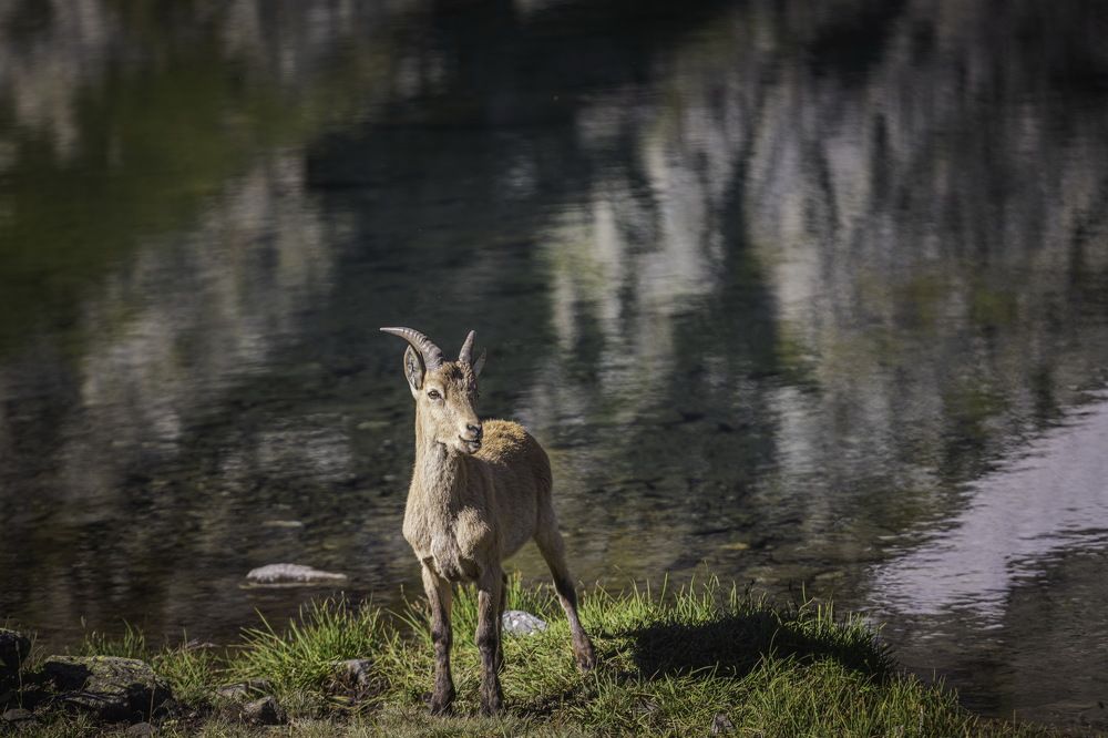 Photograph by Александр Перегоненко