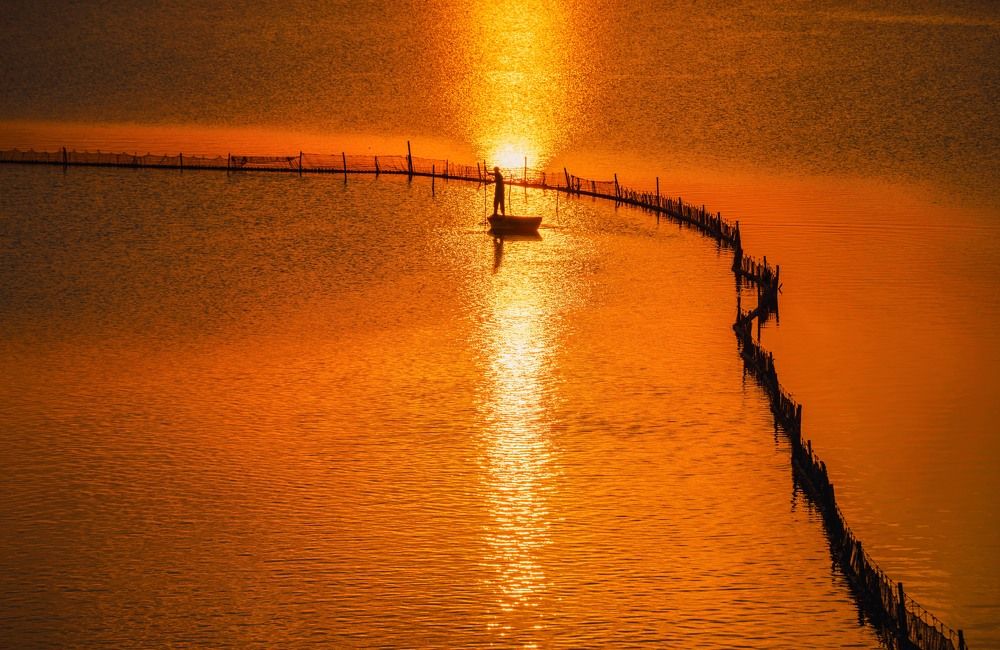 Photograph by Lien Vu