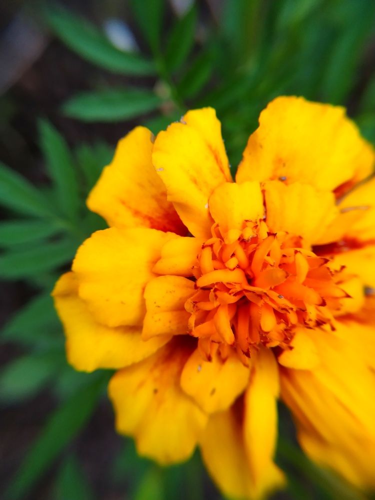 Photograph by Оксана Артимович