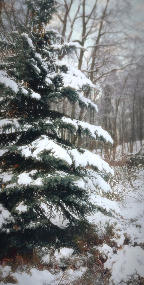 Photograph by Mishel Photographer