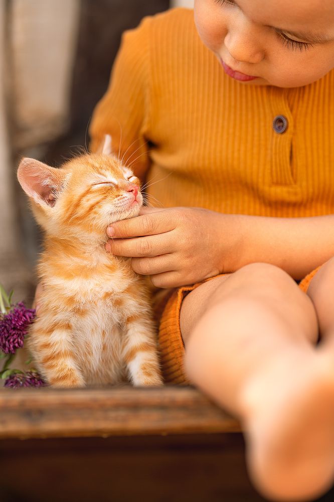 Photograph by Лилия Васильева