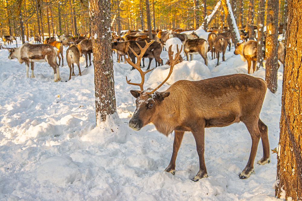 Photograph by Лактионов Анатолий