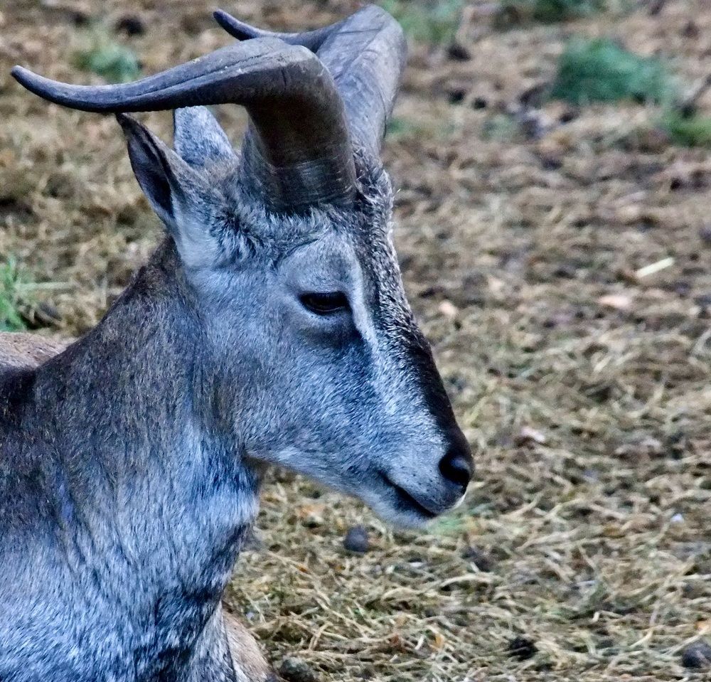 Photograph by Татьяна Шитлина