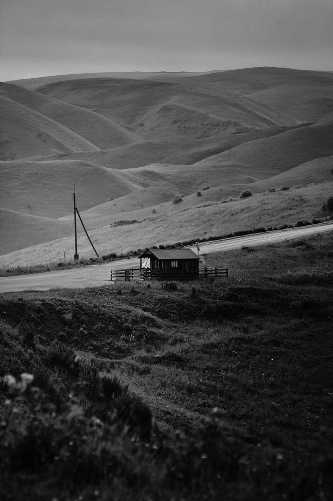 Photograph by Астафьева Анастасия