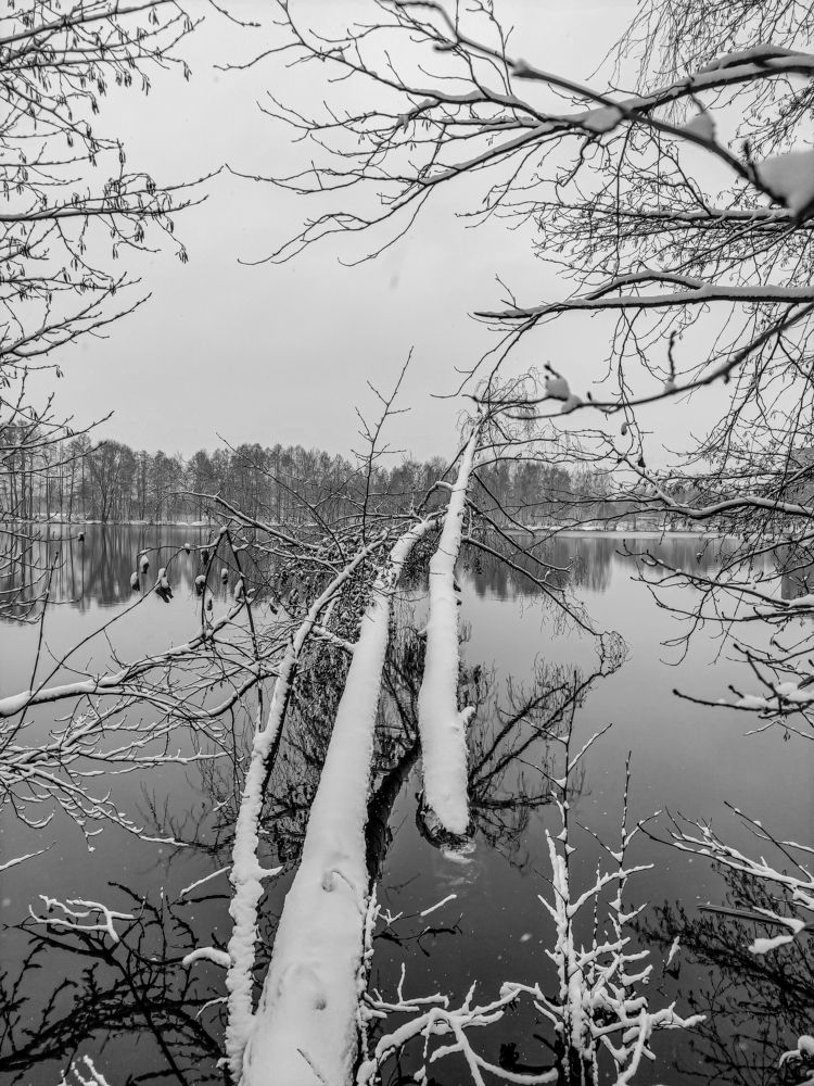 Фотография автора Александр Хухлов