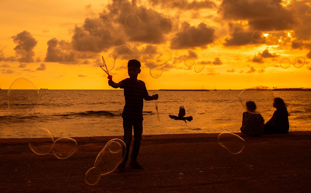 Фотография автора Laddu Sasindu Pramuditha De Silva