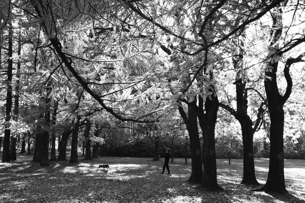 Photograph by Анатолий Протасов