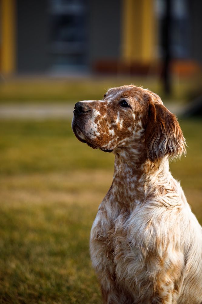 Photograph by Екатерина Козловская